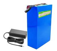 SSCYHT Batterie Lithium 48 V 20 Ah Batterie Amovible 48 V Batteries trottinettes électriques 20 Ah Batteries Rechange pour Moteurs 250 W à 1000 W avec Chargeur,48v20ah t Plug