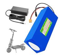 SSCYHT Batterie Lithium 72 V 20 Ah 25 Ah 30 Ah 15 Ah Batterie Remplacement 12 Ah Batteries Li-ION 72 V Batteries Trottinette avec Chargeur pour Moteur 500 W - 2100 W,72v25ah xt60