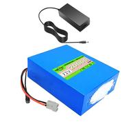 SSCYHT Batterie Lithium 72 V 20 Ah Batteries Lithium-ION 72 V Batterie Trottinette électrique 20 Ah Batteries Rechange avec Chargeur pour Moteur 250 W - 1500 W,72v20ah anderson1