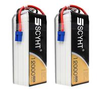 SSCYHT Batterie Lithium-ION 22,2 V 6 S Batterie Lipo 12 000 mAh Batteries Rechargeables 12 Ah Batteries Rechange pour Drone avec Port EC5 pour Moteur 150 W - 270 W,22.2v12000mah 2pack