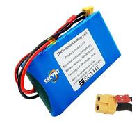 SSCYHT Batterie Lithium-ION Rechargeable 7S1P 24 V 8 Ah avec BMS + Port XT60 et JST pour éclairage LED, Pompe à Eau, Voiture Jouet, Hoverboard