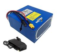 SSCYHT Batterie Lithium Rechargeable 24V 12,5Ah 15Ah 20Ah 25Ah | Batterie remplacement avec chargeur pour vélo électrique, fauteuil roulant, tondeuse à gazon ou pompe à eau, DC + XT60