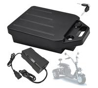 SSCYHT Batterie pour vélo électrique 60 V 20 Ah 24 Ah Batterie Lithium 60 V Batteries vélo électrique 12 Ah Batteries Amovibles avec Chargeur pour kit Moteur 500 W - 1500 W,60v24ah