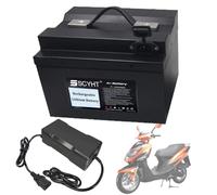 SSCYHT Batterie Rechargeable 48 V 25 Ah 15 Ah Batterie Lithium 60 V 20 Ah Batteries Lithium-ION 36 V 30 Ah 10 Ah Batteries Motos pour Moteurs 250 W à 1 200 W avec Chargeur,48v15ah
