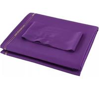 SSDDLZEQ Accessoires pour Billard Les Tables de Billard à Grande Vitesse sont idéales for Les Maisons, Les Clubs, Les Pubs et Les installations Sportives intérieures(Purple)