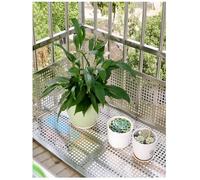 SSDDLZEQ Panneaux Ronds en tôle perforée en Acier Doux, Treillis métallique perforé, Plaque en tôle, Tamis en Acier Inoxydable(35x110 cm)