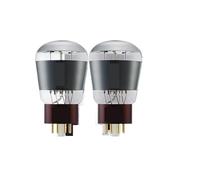SSDXFJZR Tube redresseur à Vide 6SN7 T3, Tube à Vide remplaçant Le Tube 6SN7 CV181, Correspondance de précision(2 Pcs)