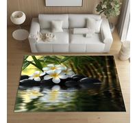 Sshjfeu Paillasson Interieur Entree 60 x 90 cm, Tapis Zen Asiatique Frangipanier Bambou Lavable Antidérapant, Tapis Style Chinois Artistique À Poils Court, Doux, pour l'entrée, la Porte d'entrée