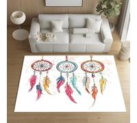Sshjfeu Paillasson Interieur Entree 80 x 120 cm, Tapis Attrape Rêves Lavable Antidérapant, Tapis Indien Plumes Colorées Bohême À Poils Court, Doux, pour l'entrée, la Porte d'entrée
