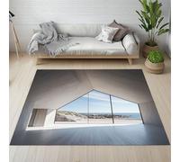 Sshjfeu Paillasson Interieur Entree 80 x 120 cm, Tapis Esthétique Moderne Lavable Antidérapant, Tapis Artistique Géométrique À Poils Court, Doux, pour l'entrée, la Porte d'entrée