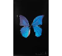SSLDP LFHLI Affiche Abstraite rétro Damien Hirst Art Mural Papillon Damien Hirst Peinture et gravures Décoration Moderne 40x60cm sans Cadre
