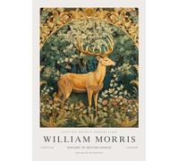 SSLDP LFHLI Affiche Abstraite William Morris Illustration Murale Fleur d’Animal Peinture et gravures sur Toile William Morris Décor de Salle de Maison 50x70cm sans Cadre