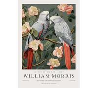 SSLDP LFHLI Affiche Abstraite William Morris Illustration Murale Fleur d’Oiseau Peinture et estampes sur Toile William Morris Décor de Salle de Maison 50x70cmx1 sans Cadre