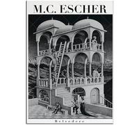 SSLDP LFHLI Affiche célèbre de M.C. Escher Surréalisme Art Mural Œuvres d’Art Vintage M.C. Escher Peinture et estampes Décoration intérieure 50x70cm sans Cadre