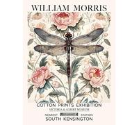 SSLDP LFHLI Affiche d’Exposition William Morris Animal Dragonfly Toile Peinture Murale et gravures William Morris Décoration intérieure Image 50x70cmx1 sans Cadre