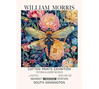 SSLDP LFHLI Affiche d’Exposition William Morris Animal Dragonfly Toile Peinture Murale et gravures William Morris Décoration intérieure Image 50x70cmx1 sans Cadre