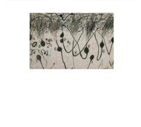 SSLDP LFHLI Affiche de Dessin de Santiago Ramon y Cajal Neuron Art Mural Nordique Peinture et gravures en neurosciences Peinture et gravures Décoration de la Maison 50x70cm sans Cadre