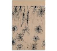 SSLDP LFHLI Affiche de Dessin de Santiago Ramon y Cajal Neuron Art Mural Nordique Peinture et gravures en neurosciences Peinture et gravures Décoration de la Maison 50x70cm sans Cadre