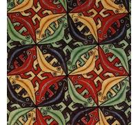 SSLDP LFHLI Affiche rétro M.C Escher Surréalisme Art Abstrait Mural M.C Escher Peinture sur Toile et Impressions Tableau de décoration Nordique 60x60cmx1 sans Cadre