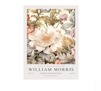 SSLDP LFHLI Affiche William Morris Peinture en Toile Fleurie colorée Art Mural et gravures William Morris Nouveau Décoration Murale Tableau Mural 50x70cm sans Cadre