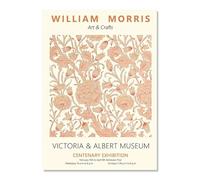 SSLDP LFHLI Affiches William Morris Fleurs colorées Art Mural Peinture et Impressions sur Toile William Morris Tableau de décoration intérieure Nordique 50x70cmx1 sans Cadre