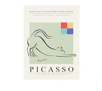 SSLDP LFHLI Art Moderne Maître Pablo Picasso Affiche Vintage Animaux Lignes Art Mural Pablo Picasso Peinture sur Toile Et Impressions Décor Intérieur Photo 40x60cm sans Cadre