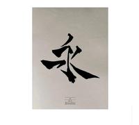 SSLDP LFHLI Caractère Chinois Minimalisme Affiche Vintage Art Mural Caractère Chinois Peinture sur Toile Peinture et Impressions Décoration intérieure Moderne Photo 40x60cm sans Cadre