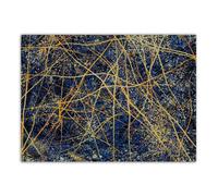 SSLDP LFHLI célèbre Jackson Pollock Affiche Abstrait Art Mural Jackson Pollock Peinture sur Toile Impressions Modernes Maison Salon décor Photo Murale 50x70cm sans Cadre