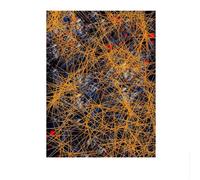 SSLDP LFHLI célèbre Jackson Pollock Affiche esthétique Art Mural Abstrait Jackson Pollock Peinture sur Toile Impressions Modernes Décoration intérieure Photo Murale 50x70cm sans Cadre
