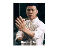 SSLDP LFHLI Chinois Kung Fu Master Poster IP Man Donnie Yen Wall Art Wing Chun Master Peinture sur Toile Et Impressions pour Décoration Intérieure Photo 40x60cm sans Cadre