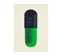 SSLDP LFHLI Damien Hirst Affiche Abstraite Capsule Colorée Peinture sur Toile Damien Hirst Art Mural Et Impressions Moderne Décoration D’intérieur Photo 50x70cmx1 sans Cadre