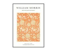 SSLDP LFHLI Exposition Affiche Fleurie William Morris Peinture et estampes sur Toile William Morris Décoration Nordique 50x70cmx1 sans Cadre
