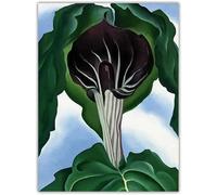 SSLDP LFHLI Georgia O’Keeffe Affiche Abstrait Toile Peinture Art Mural Abstrait Georgia O’Keeffe Impressions pour La Maison Salon Décor Photo 50x70cm sans Cadre