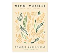 SSLDP LFHLI Henri Matisse Affiche Esthétique Abstrait Fleurs De Corail Art Mural Et Impressions Henri Matisse Peinture sur Toile Décor D’intérieur Photo 50x70cm sans Cadre