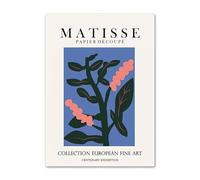 SSLDP LFHLI Henri Matisse Esthétique Affiche Feuilles De Corail Art Mural Et Impressions Henri Matisse Peinture sur Toile Moderne Home Decor Photo Murale 40x60cmx1 sans Cadre