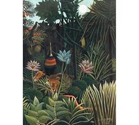 SSLDP LFHLI Henri Rousseau Affiche Jungle Forêt Animal Paysage Art Mural Henri Rousseau Toile Peinture Et Impressions Home Decor Photo 40x60cm sans Cadre