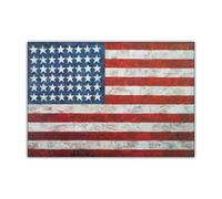 SSLDP LFHLI Jasper Johns Poster《Art Effects Flag 1954》Wall Art Jasper Johns Peinture sur Toile Et Impressions pour La Maison Salon Décor Photo 50x70cm sans Cadre