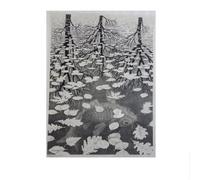 SSLDP LFHLI M. C. Escher Affiche Trois Mondes Célèbre Abstrait Peinture sur Toile M. C. Escher Art Mural Et Impressions pour Décors Intérieurs Photos 40x60cmx1 sans Cadre