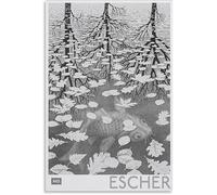 SSLDP LFHLI M. C. Escher Affiche Trois Mondes Célèbre Abstrait Peinture Sur Toile M. C. Escher Art Mural Et Impressions Pour Décors Intérieurs Photos 40x60cmx1 Sans Cadre