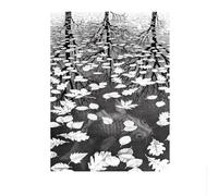 SSLDP LFHLI M. C. Escher Affiche Trois Mondes Célèbre Abstrait Peinture Sur Toile M. C. Escher Art Mural Et Impressions Pour Décors Intérieurs Photos 40x60cmx1 Sans Cadre