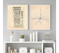 SSLDP LFHLI Neuron Dessin Santiago Ramon Y Cajal Affiche Et Impressions Neuron Dessin Santiago Ramon Y Cajal Toile Peinture Murale Art Décor 50x70cmx2 sans Cadre