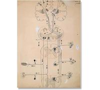 SSLDP LFHLI Neuron Dessin Santiago Ramon Y Cajal Affiche Et Impressions Neuron Dessin Santiago Ramon Y Cajal Toile Peinture Murale Art Décor 50x70cm sans Cadre