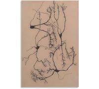 SSLDP LFHLI Neuron Drawing Santiago Ramon y Cajal Affiches Abstract Wall Art Neuron Peinture et Estampes Peinture Décoration Maison 50x70cmx1 sans Cadre