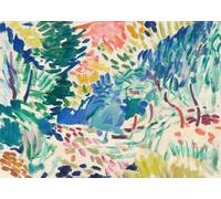SSLDP LFHLI Peintre célèbre Henri Matisse Affiche Murale colorée Peinture et estampes sur Toile Tableau de décoration Moderne 50x70cm sans Cadre