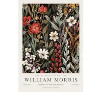 SSLDP LFHLI Rétro William Morris Affiche colorée Fleurs Art Mural William Morris Peinture sur Toile Et Impressions Mode Décoration D’intérieur Photo 50x70cm sans Cadre