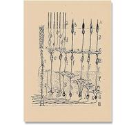 SSLDP LFHLI Santiago Ramon y Cajal Affiche de Dessin Neuron Art Mural Nordique Biologie Peinture et gravures sur Toile Neuron Décoration intérieure Tableau 50x70cm sans Cadre