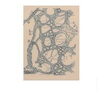 SSLDP LFHLI Santiago Ramon y Cajal Neuron Affiche de Dessin Mural Nordique Cerveau Anatomie Toile Peinture et estampes Décoration intérieure Tableau 50x70cm sans Cadre