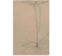 SSLDP LFHLI Santiago Ramon y Cajal Neuron Affiche de Dessin Mural rétro Art Mural Neurosciences Toile Peinture et Estampes Décoration Maison Tableau 50x70cm sans Cadre