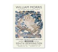 SSLDP LFHLI William Morris Affiche Feuille Hibou Art Mural William Morris Peinture sur Toile Et Impression Maison Moderne Salon Décor Photo 50x70cmx1 sans Cadre