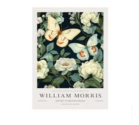 SSLDP LFHLI William Morris Affiches Animal Papillon Plante Toile Peinture William Morris Vintage Art Mural Et Impressions Home Decor Photo 40x60cmx1 sans Cadre